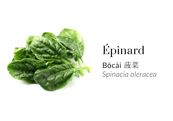 Épinard - Bōcài - Spinacia oleracea