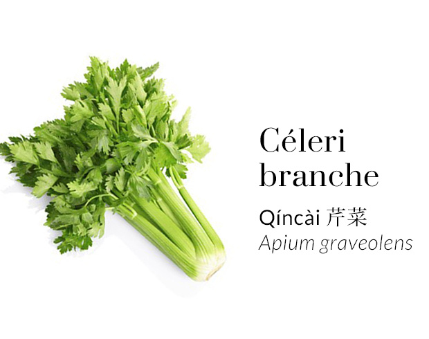 Céleri branche - Qíncài - Apium graveolens