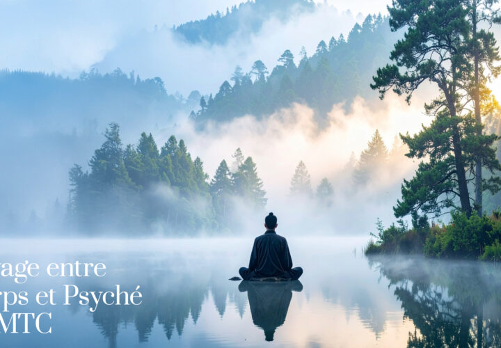 Maladies psychosomatiques